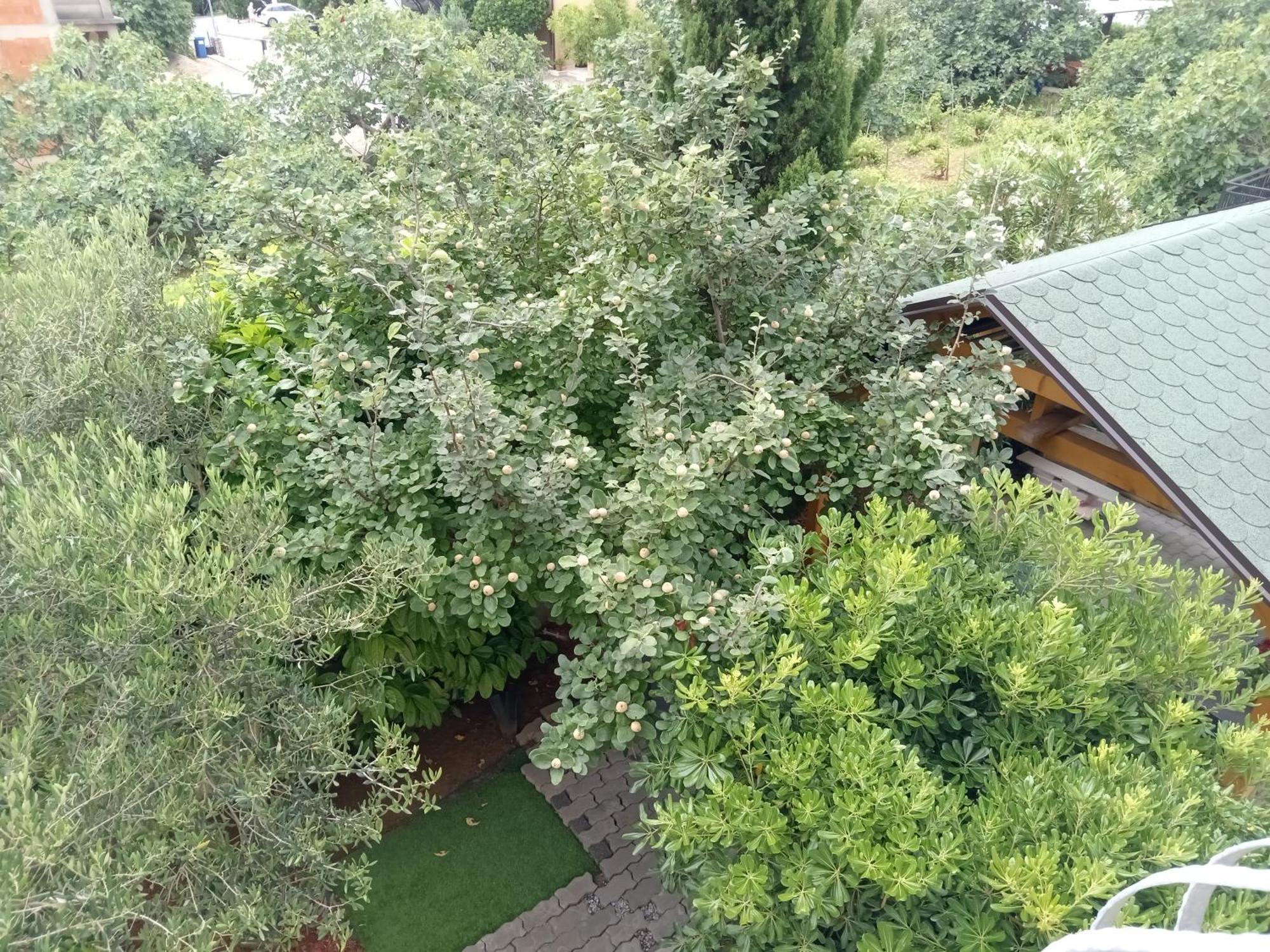 Ana Rooms Krk Town Εξωτερικό φωτογραφία